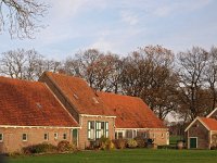 NL, Drenthe, Noordenveld, Veenhuizen 6, Saxifraga-Hans Dekker