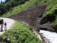 AU, Salzburg, Neukirchen, Untersulzbachtal 2, Saxifraga-Jonathan Vandevoorden