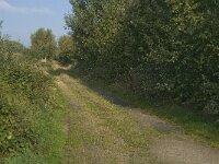 B, Limburg, Kinrooi, De Brand 3, Saxifraga-Jan van der Straaten