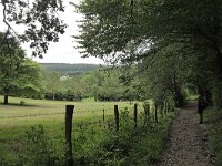 B, Limburg, Voeren, Veursbos 4, Saxifraga-Tom Heijnen