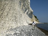 Sjaelland, Vordingborg, Moens Klint South 18, Saxifraga-Marijke Verhagen