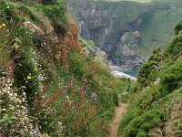 GB, Cornwall, Hayle, SW Coastpath, Hells Mouth 2, Saxifraga-Foto Fitis-Sytske Dijksen