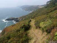 GB, Cornwall, Truro, SW Coastpath, St Mawes 4, Saxifraga-Foto Fitis-Sytske Dijksen