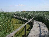 H, Hadju-Bihar, Hortobagy, Tiszato 1, Saxifraga-Dirk Hilbers