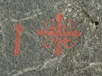 N, Sor-Trondelag, Oppdal, Varstigen 3, Saxifraga-Jan van der Straaten