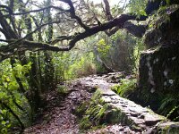 P, Madeira 14, Foto Fitis-Sytske Dijksen