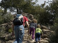 E, Barcelona, Matadepera,  NP Sant Llorenc del Munt 1, Saxifraga-Jan van der Straaten