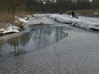 NL, Noord-Brabant, Eindhoven, Collse Zeggen, Kleine Dommel 6, Saxifraga-Marijke Verhagen