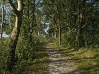NL, Noord-Brabant, Sint-Michielsgestel, Keerdijk Den Dungen 7, Saxifraga-Jan van der Straaten
