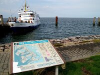 D, Schleswig-Holstein, Hallig Hooge 9, Saxifraga-Foto Fitis-Sytske Dijksen