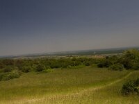 F, Saone et Loire, Moroges, Mont Avril 2, East, Saxifraga-Jan Nijendijk