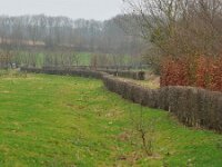 NL, Limburg, Valkenburg aan de Geul, Akkerreservaat SW of Sibbe 1, Saxifraga-Tom Heijnen