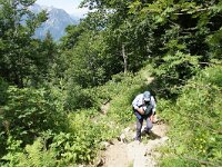 A, Steiermark, Schildlehen, Hoher Dachstein 2, Saxifraga-Foto Fitis-Sytske Dijksen