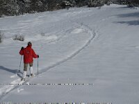 F, Isere, Gresse-en-Vercors, Serpaton 6, Saxifraga-Jan van der Straaten