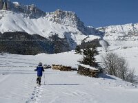 F, Isere, Gresse-en-Vercors, Serre Monet 1, Saxifraga-Jan van der Straaten