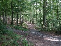 D, Rheiland-Pfalz, Cochem, Apolloweg 1, Saxifraga-Foto Fitis-Sytske Dijksen