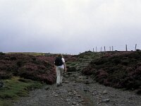 GB, Cumbria, Keswick, Skiddaw 6, Saxifraga-Jan van der Straaten