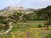 GR, Ionia Nisia, Lefkas 7, Saxifraga-Foto Fitis-Sytske Dijksen