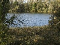 NL, Noord-Brabant, Heusden, Haarsteegsewiel 6, Saxifraga-Jan van der Straaten