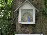 B, Limburg, Voeren, naar Krindaal 4, Saxifraga-Tom Heijnen