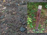 NL, Noord-Brabant, Oisterwijk, path of the debris of bombed Rotterdam 1, Saxifraga-Foto Fitis-Sytske Dijksen