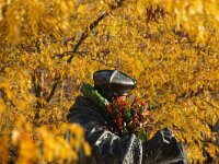 NL, Zuid-Holland, Rotterdam, Erasmus 2, Saxifraga-Foto Fitis-Sytske Dijksen