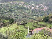 P, Viana do Castelo, Acros de Valdevez, Soajo 13