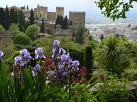 E, Granada, Granada, Alhambra 1, Saxifraga-Theo Verstrael