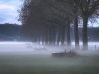 NL, Drenthe, Midden-Drenthe, Wijster 6, Saxifraga-Hans Dekker