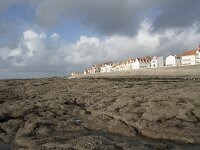 F, Pas-de-Calais, Ambleteuse 19, Saxifraga-Willem van Kruijsbergen