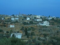 GR, Chios, Chios, Karies 2, Saxifraga-Jan van der Straaten