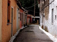 GR, Corfu, Ano Korakiana 1, Saxifraga-Hans Dekker