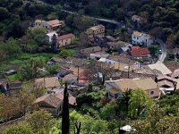 GR, Corfu, Strinilas 8, Saxifraga-Hans Dekker