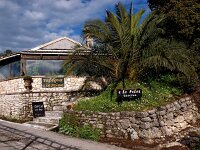 GR, Corfu, Strinilas 9, Saxifraga-Hans Dekker