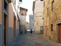 I, Arezzo, Laterina Pergine Valdarno, Pergine Valdarno village 2, Saxifraga-Tom Heijnen