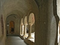 I, Liguria, Camogli, San Fruttuoso 10, Saxifraga- Hans Dekker