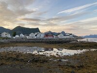 N, Nordland, Vagan, Kabelvag 11, Saxifraga-Willem van Kruijsbergen