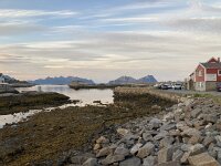 N, Nordland, Vagan, Kabelvag 4, Saxifraga-Willem van Kruijsbergen