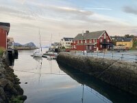 N, Nordland, Vagan, Kabelvag 5, Saxifraga-Willem van Kruijsbergen