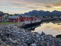 N, Nordland, Vagan, Kabelvag 8, Saxifraga-Willem van Kruijsbergen