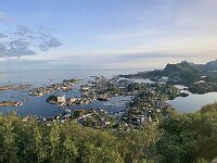 N, Nordland, Vagan, Svolvaer 12, Saxifraga-Willem van Kruijsbergen