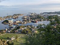 N, Nordland, Vagan, Svolvaer 7, Saxifraga-Willem van Kruijsbergen