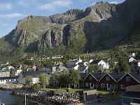 N, Troms, Senja, Gryllefjorden 2, Saxifraga-Willem van Kruijsbergen