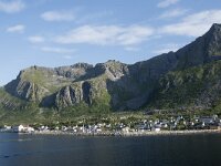 N, Troms, Senja, Gryllefjorden 6, Saxifraga-Willem van Kruijsbergen