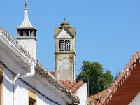 P, Beja, Odemira, Sao Martinho das Amoreiras 1, Saxifraga-Tom Heijnen