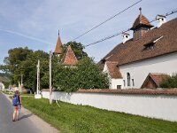 RO, Brasov, Voila, Cincsor 1, Saxifraga-Tom Heijnen