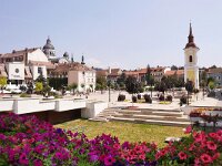 RO, Mures, Targu Mures 2, Saxifraga-Tom Heijnen