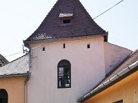 RO, Sibiu, Sibiu 1, Saxifraga-Tom Heijnen