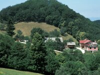 SI, Stajerska, Ptuj, Medgore 1, Saxifraga-Jan van der Straaten