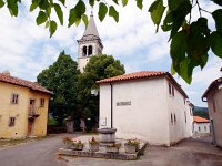 SLO, Obalnokraska, Divaca, Matavun 5, Saxifraga-Hans Dekker